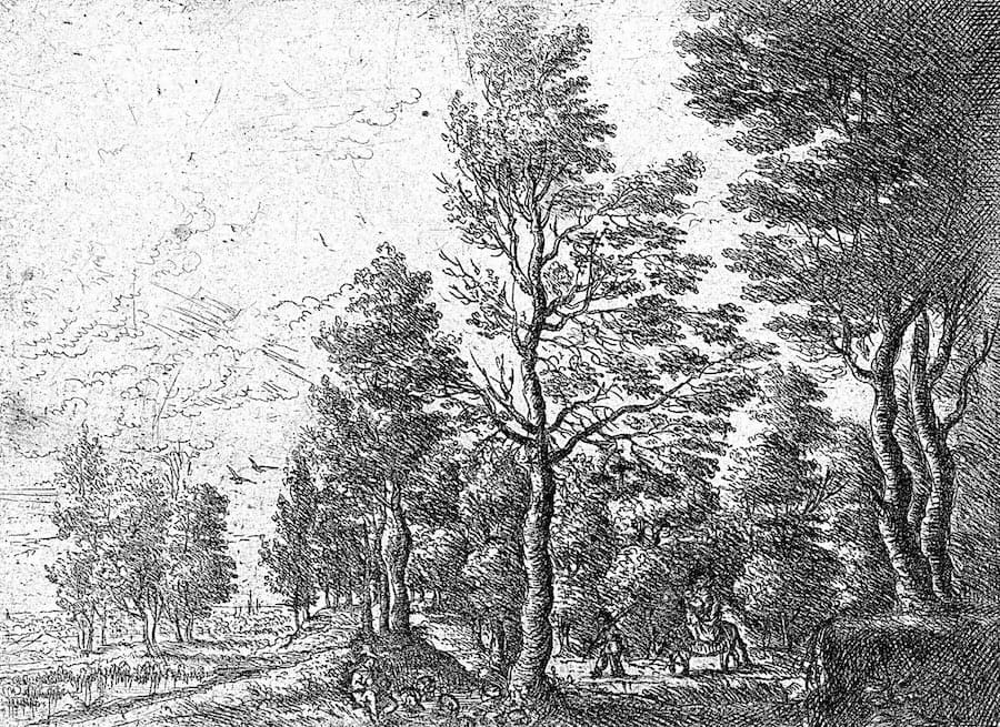 Carta Da Parati Bosco Illustrato in Bianco e Nero - Fotomurale