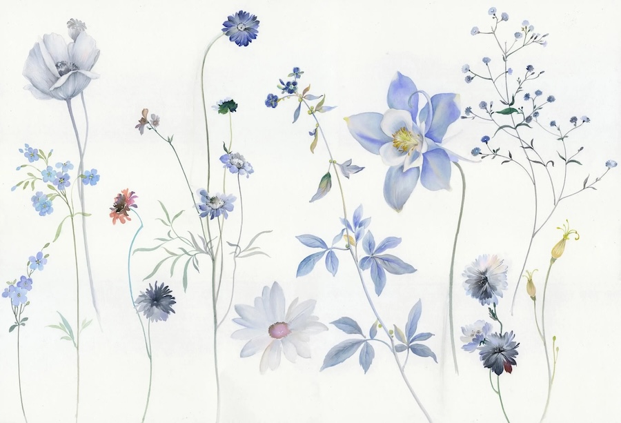 Carta Da Parati Fiori Botanici Blu - Fotomurale