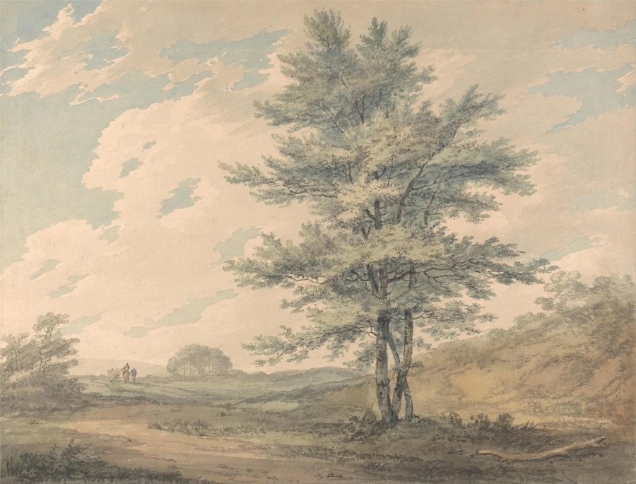 Carta Da Parati Albero Classico Pittorico - Fotomurale