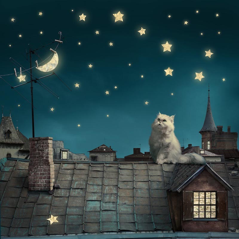 Carta Da Parati Tetti Sotto Le Stelle - Fotomurale