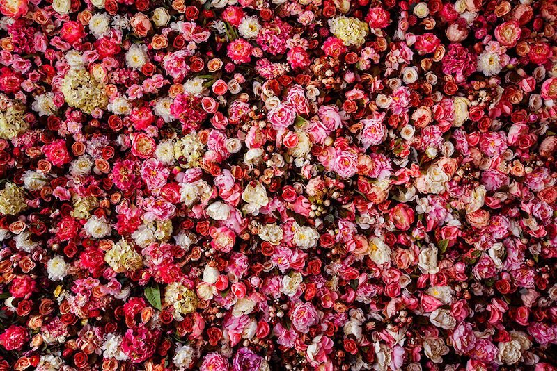 Carta Da Parati Migliaia Di Rose - Fotomurale