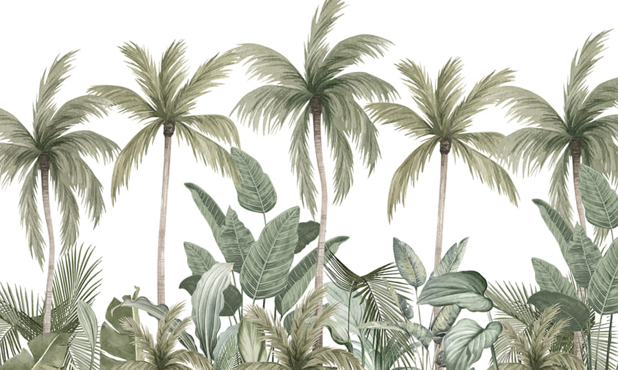 Carta Da Parati Foglie di Palma Botaniche - Fotomurale