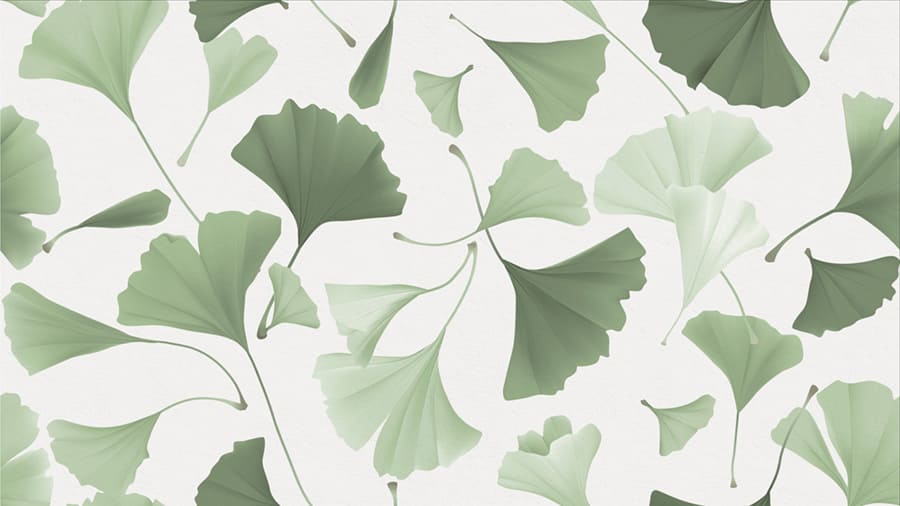 Carta Da Parati Ginkgo Biloba - Fotomurale