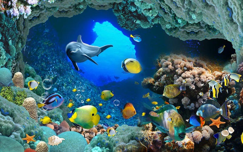 Carta Da Parati Pesce Profondo - Fotomurale