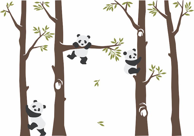 Carta Da Parati Panda Nella Foresta - Fotomurale