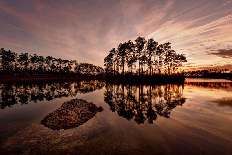 Carta Da Parati Riflesso Della Natura - Fotomurale