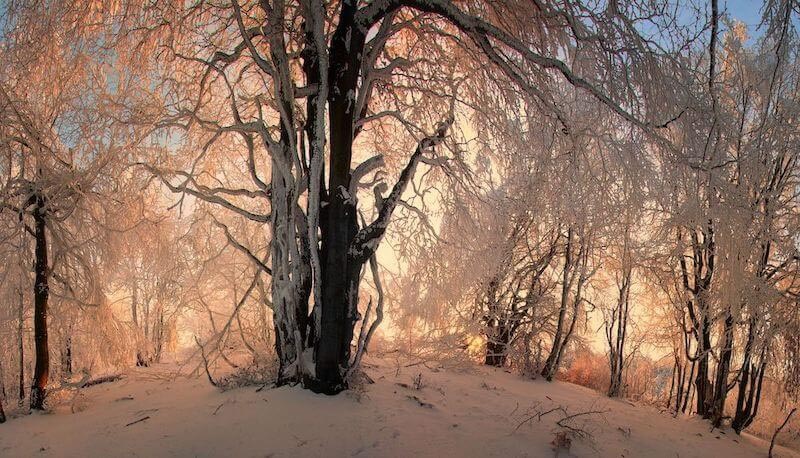 Carta Da Parati Collina Invernale - Fotomurale