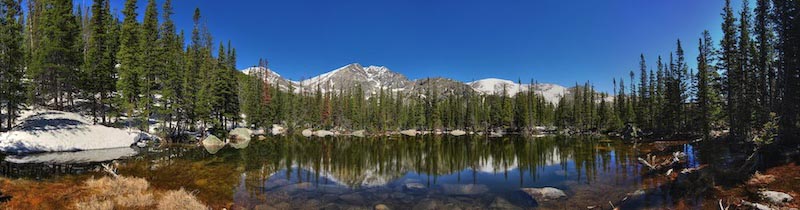 Carta Da Parati Vista Panoramica Sulla Foresta - Fotomurale
