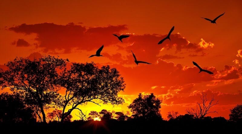 Carta Da Parati Cielo Rosso - Fotomurale