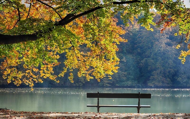 Carta Da Parati Pace In Panchina - Fotomurale