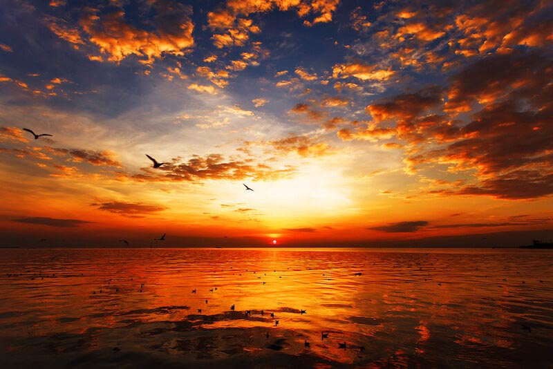Carta Da Parati L'arte Della Natura Al Tramonto - Fotomurale