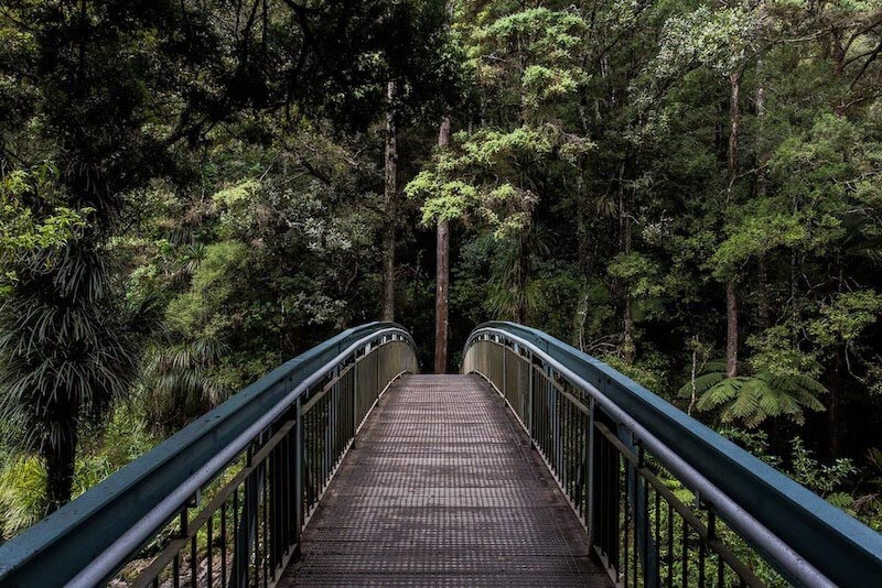 Carta Da Parati Ponte Della Foresta - Fotomurale