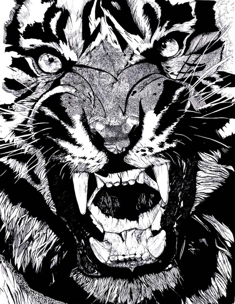 Carta Da Parati Sguardo Selvaggio - Fotomurale