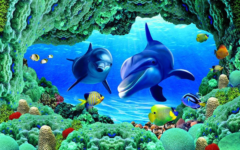 Carta Da Parati Delfini Sott'Acqua - Fotomurale