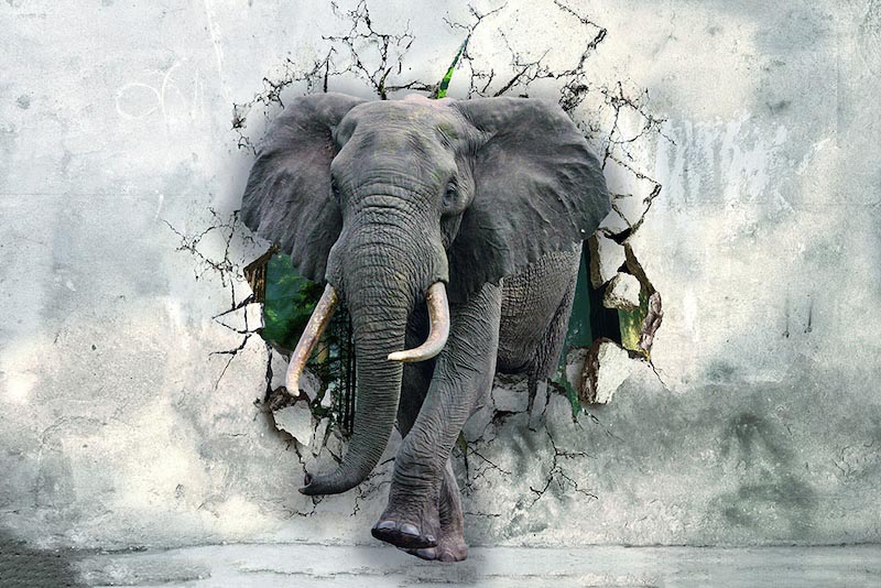 Carta Da Parati Potente Elefante - Fotomurale