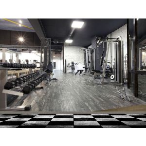 Palestra - Carta Da Parati Foto Applicato