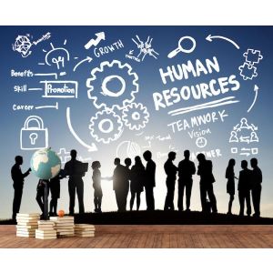 Carta Da Parati Risorse Umane