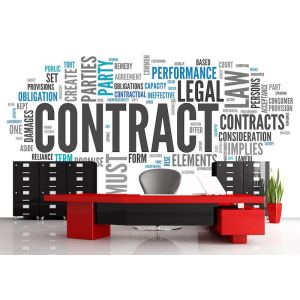 Carta Da Parati Termini Legali