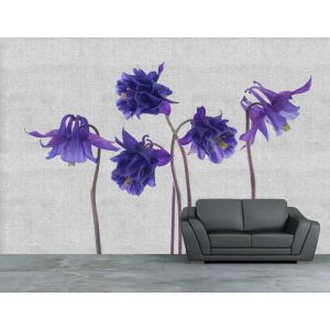 Carta Da Parati Fiori D'Organo