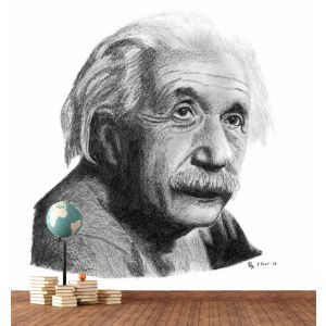 Albert Einstein - Carta Da Parati Per La Decorazione Applicato