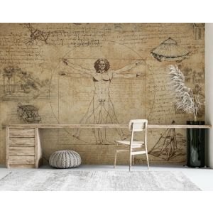 Applicazione Di Carta Da Parati Schizzi Di Leonardo Da Vinci Dal Codice