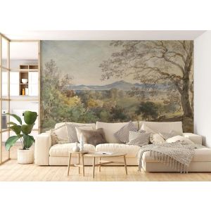 Carta Da Parati Paesaggio Naturale Pittorico