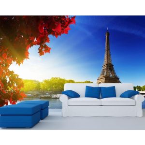 Guarda Eiffele - Carta Da Parati Foto 3D Applicato