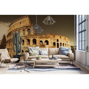Applicazione Di Carta Da Parati Colosseo Roma