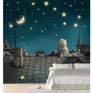 Carta Da Parati Tetti Sotto Le Stelle