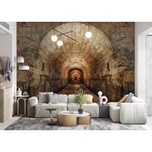 Applicazione Di Carta Da Parati Ponte A Tunnel Profondo