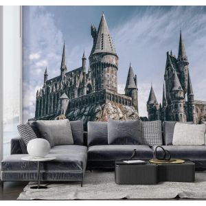 Applicazione Di Carta Da Parati Castello Magico Harry Potter Hogwards