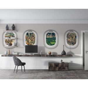 Applicazione Di Carta Da Parati Vista Di Parco Centrale New York Dalla Finestra Di Aereo