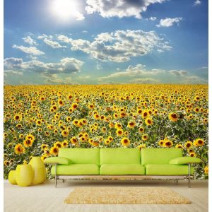 Paesaggio Lunare - Carta Da Parati Foto Applicato