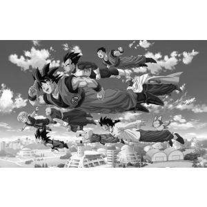 Carta Da Parati Dragon Ball Z