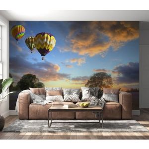 Applicazione Di Carta Da Parati Danza Di Palloncini