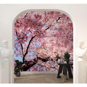 Applicazione Di Carta Da Parati Il Mio Nome È Primavera