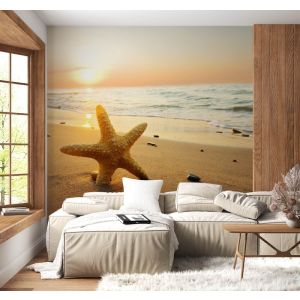 Applicazione Di Carta Da Parati Stella Marina In Piedi