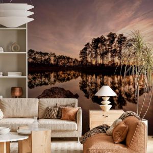 Applicazione Di Carta Da Parati Riflesso Della Natura