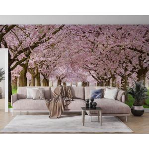 Applicazione Di Carta Da Parati Alberi Fioriti Rosa