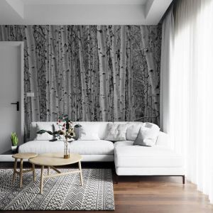 Alberi Di Pioppo - Carta Da Parati Foto 3D Applicato