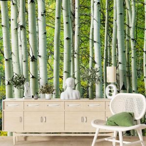 Applicazione Di Carta Da Parati Pioppi Verdi