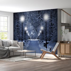 Applicazione Di Carta Da Parati Caduta Di Neve