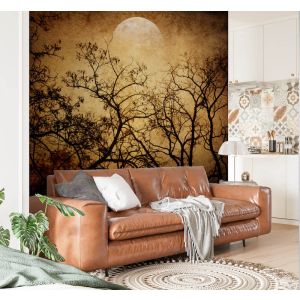 Carta Da Parati È Buio