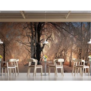 Applicazione Di Carta Da Parati Collina Invernale