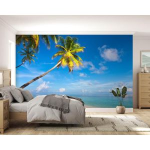 Applicazione Di Carta Da Parati Palme