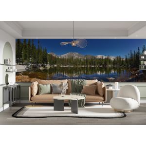 Applicazione Di Carta Da Parati Vista Panoramica Sulla Foresta