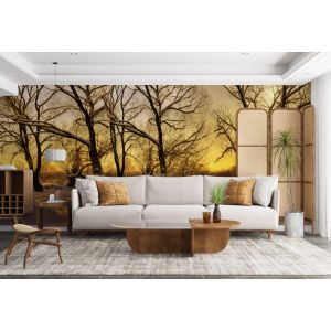 Applicazione Di Carta Da Parati Armonia Tra Neve E Sole