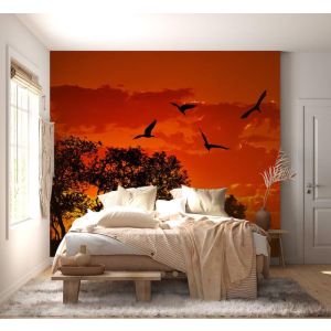 Applicazione Di Carta Da Parati Cielo Rosso