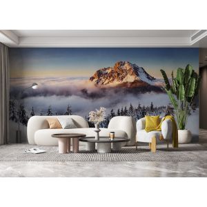 Applicazione Di Carta Da Parati Pinnacle