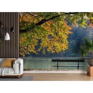 Applicazione Di Carta Da Parati Pace In Panchina